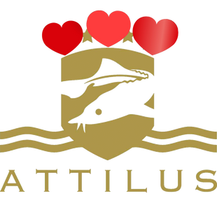 Attilus Kaviar S